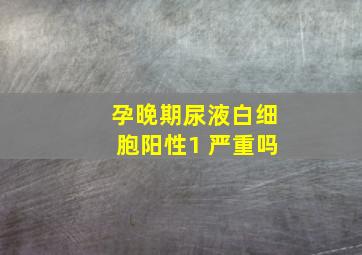 孕晚期尿液白细胞阳性1 严重吗